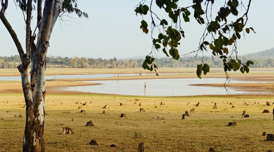 Nagarhole National Park