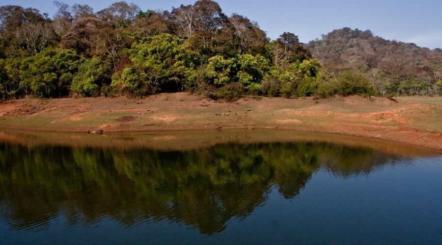 Periyal Tiger Reserve